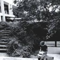 Student using the Seidman House outdoor study area. The area fell into disrepair and was removed, ca. 1972.